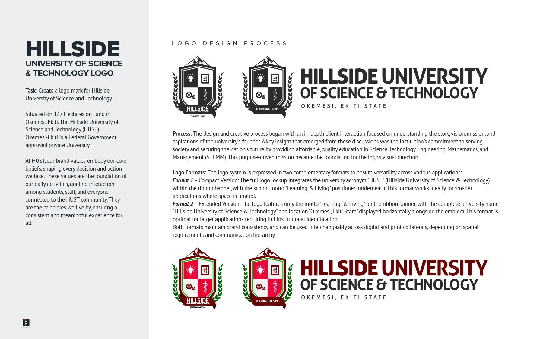 henry-egbe-porfolio-graphic-design-for-hillside-university-of-science-&-technology #1