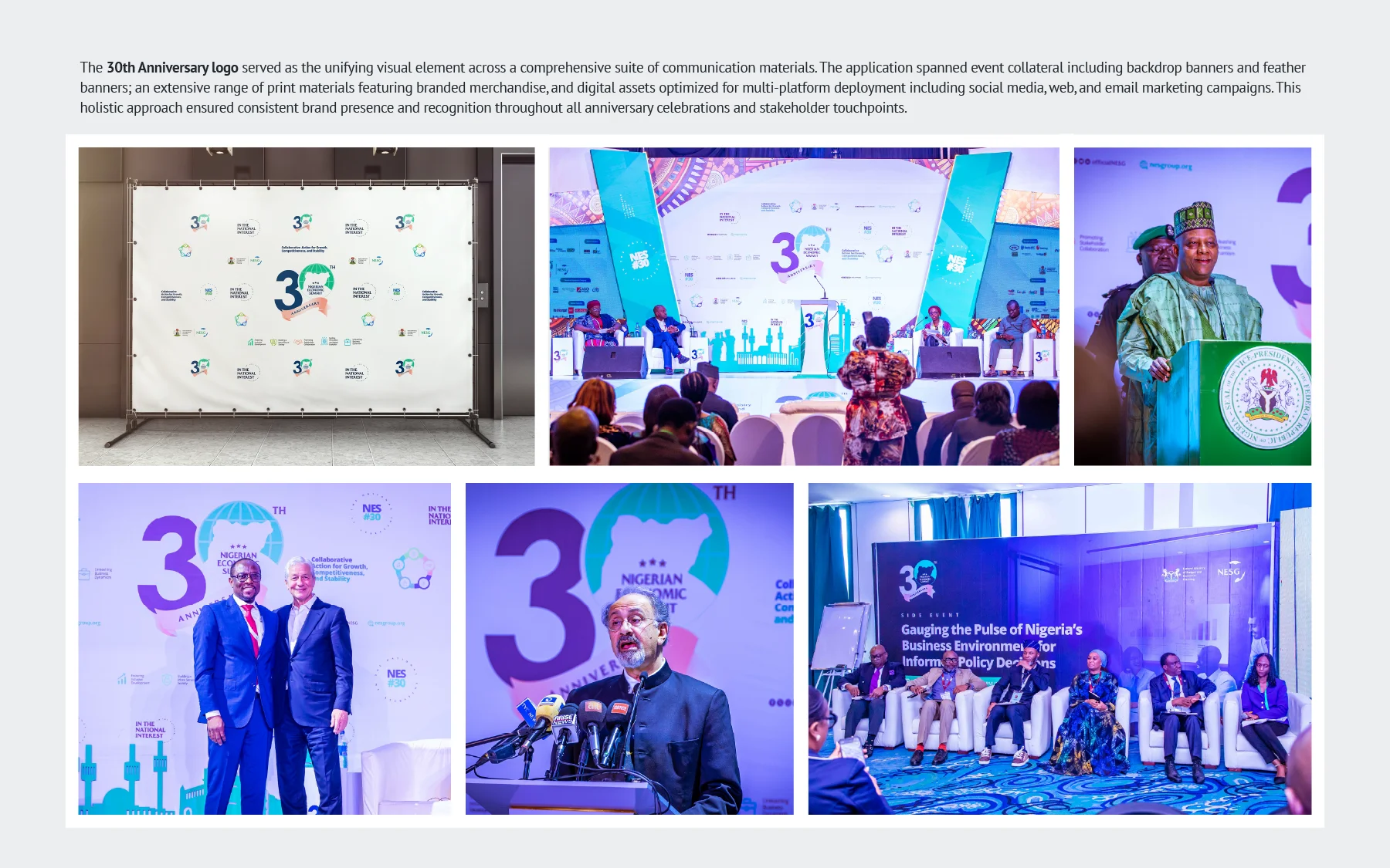 henry-egbe-porfolio-graphic-design-for-nigerian-economic-summit-30th-anniversary-logo-design #3