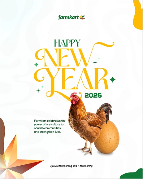 henry-egbe-porfolio-graphic-design-for-Farmkart-Happy-New-Year